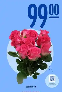 Rema 1000 ANSVARSROSER 10PK tilbud