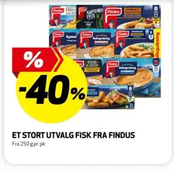 Et stort utvalg fisk fra findus