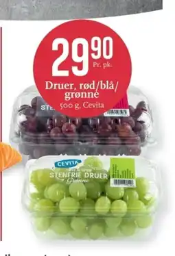 CC Mat Druer, rød/blå/ grønné tilbud