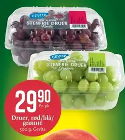 CC Mat Druer, rød/blå/ grønné Cevita tilbud