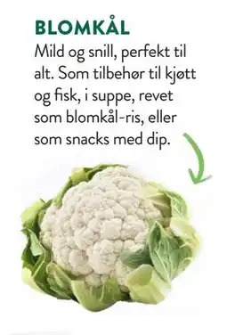 Jacobs BLOMKÅL tilbud