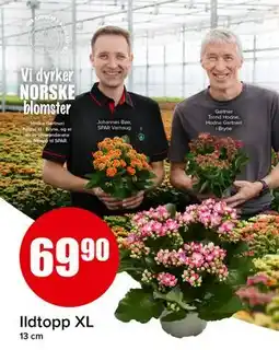 Spar Ildtopp XL tilbud