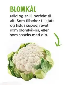 Meny blomkål tilbud