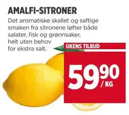 Meny AMALFI-SITRONER tilbud