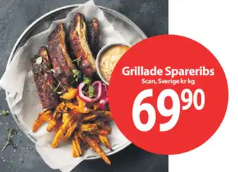Grillade Spareribs