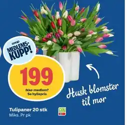Coop Obs Tulipaner 20 stk, Medlemspris tilbud