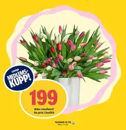 Coop Prix TULIPANER 20 STK, Medlemspris tilbud