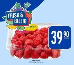 Rema 1000 BRINGEBÆR tilbud