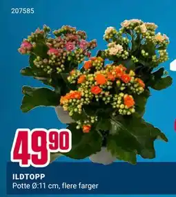 Europris ILDTOPP tilbud