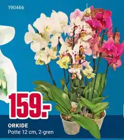 Europris ORKIDE tilbud