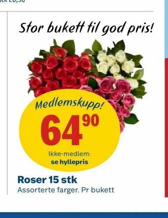 Coop Obs Roser 15 stk tilbud