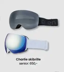 Sport Outlet Charlie skibrille tilbud