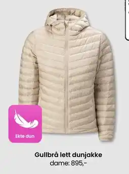 Sport Outlet Gullbrå lett dunjakke dame tilbud