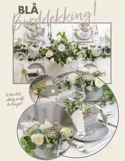 Sparkjøp TALLERKEN tilbud