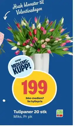 Coop Obs Tulipaner 20 stk, Medlemspris tilbud