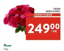 Jacobs Roser tilbud