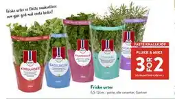 Jacobs Friske urter tilbud