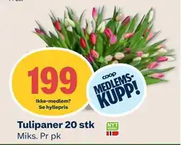 Coop Mega Tulipaner 20 stk, Medlemspris tilbud