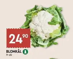Coop Mega BLOMKÅL tilbud