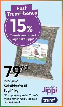 Gigaboks Solsikkefrø til fugl 4 kg tilbud