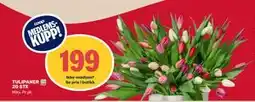 Matkroken TULIPANER 20 STK, Medlemspris tilbud