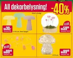 Europris All dekorbelysning! tilbud