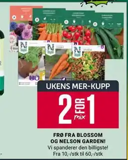 Europris FRØ FRA BLOSSOM OG NELSON GARDEN! tilbud