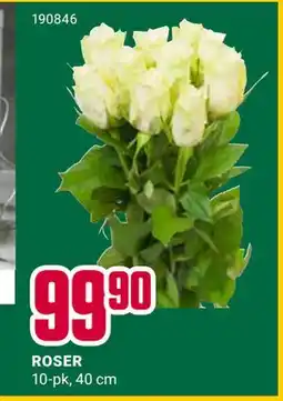 Europris ROSER tilbud