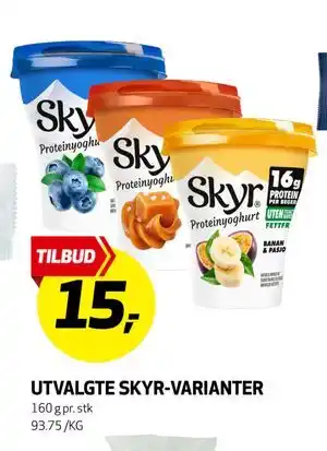 UTVALGTE SKYR-VARIANTER