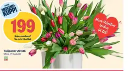 Coop Extra Tulipaner tilbud