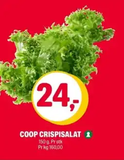 Coop Extra Coop crispisalat tilbud