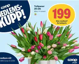 Coop Extra Tulipaner 20 stk tilbud