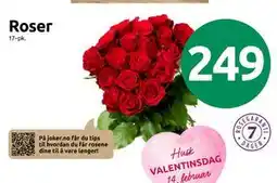 Joker Roser tilbud