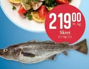 Skrei
