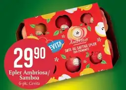 CC Mat Epler ambriosa/ samboa tilbud