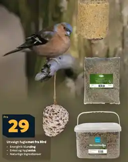 Megaflis Utvalgt fuglemat fra Bird tilbud