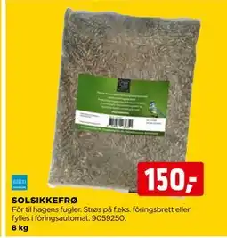 jem & fix SOLSIKKEFRØ tilbud