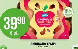 Kiwi AMBROSIA EPLER tilbud