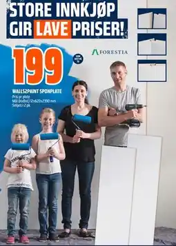 Obs Bygg WALLS2PAINT SPONPLATE tilbud