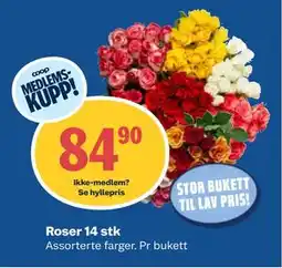 Coop Obs Roser 14 stk, Medlemspris tilbud