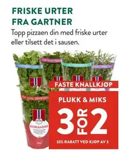 Jacobs FRISKE URTER FRA GARTNER tilbud