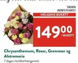 Jacobs Chrysanthemum, Roser, Grenroser og Alstromeria tilbud