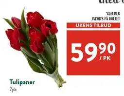 Jacobs Tulipaner tilbud