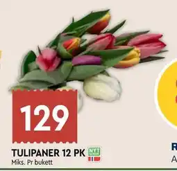 Coop Mega TULIPANER 12 PK tilbud