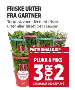 Meny FRISKE URTER FRA GARTNER tilbud