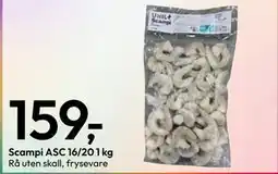 Gigaboks Scampi ASC 16/20 1 kg tilbud