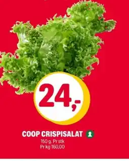 Coop Extra Coop crispisalat tilbud
