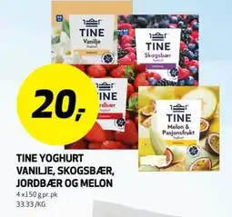 Bunnpris TINE YOGHURT VANILJE, SKOGSBÆR, JORDBÆR OG MELON tilbud