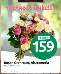 Joker Roser, Grenroser, Alstromeria tilbud