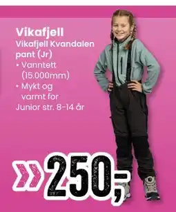 Sport Outlet Vikafjell Kvandalen pant (Jr) tilbud